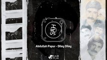 Abdullah Papur - Diley Diley [ Şah Plak ] #abdullahpapur