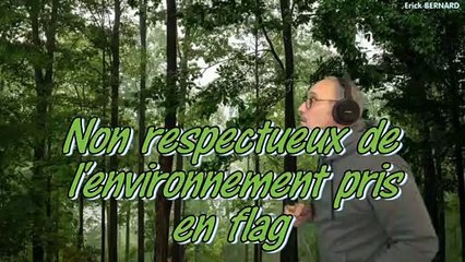 Non respectueux de l'environnement