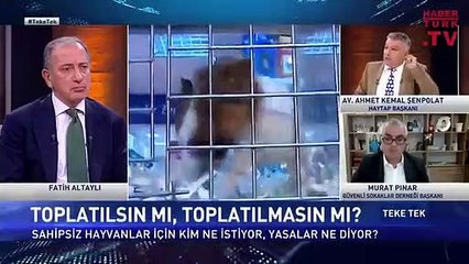 HAYTAP Başkanı'na Fatih Altaylı bile tahammül edemedi!