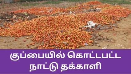 கிணத்துக்கடவு: குப்பையில் தக்காளி! கண்ணீர் வடிக்கும் விவசாயிகள்!