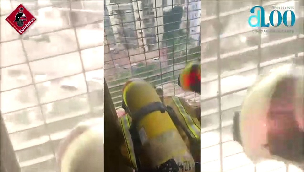 Así salvan la vida los bomberos a dos gatitos atrapados en el incendio de un edificio de Benidorm