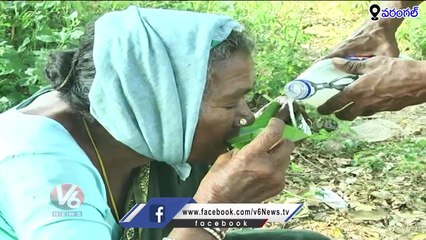 Kharjura Kallu (Date Palm) : This Is Good For Health, Says Toddy Sellers | Warangal | V6 News