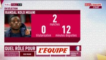 Ce qu'il faut savoir sur Randal Kolo Muani - Foot - CM 2022 - Bleus