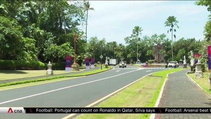 Indonesia President Joko Widodo in ‘tough spot’ to unite G20 leaders: Analysts