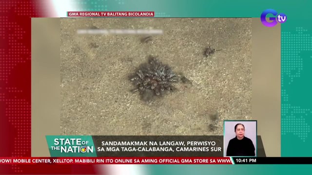 Sandamakmak na langaw, perwisyo sa mga taga-Calabanga, Camarines Sur | SONA