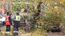 Sarıyer'de kamyonun çarptığı ağaç yola devrildi