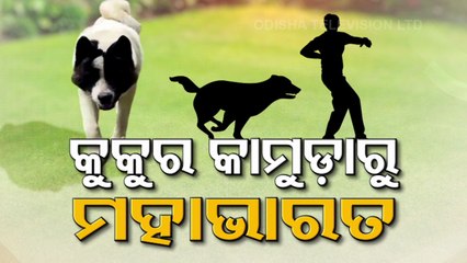 Bhubaneswar dog attack: American Akita sent to shelter home