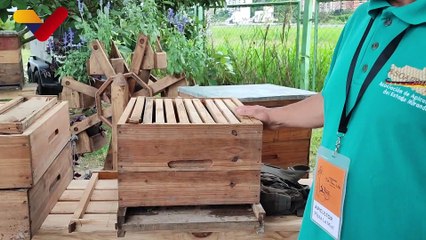 Apicultura: producción para la salud y el bienestar