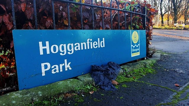 Bird flu- 15 swans found dead in Hogganfield Loch Glasgow