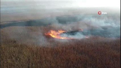 Eber Gölü'nün 3 bölgesinde yangın