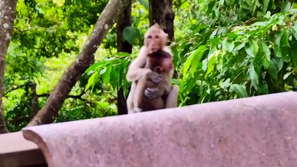 Million Scared And Breaking Heart....Mira Often Got Mistreated From Mommy