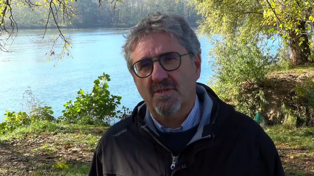 Chivasso, migliaia di pesci salvati e rimessi nel Po: Erano ammassati e con poco ossigeno