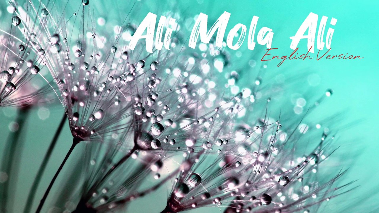 Ali Mola Ali Ali || Qawwali || English Version - Love's Pilgrim |