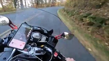 Motard VS Biche à 87kmh... plus de peur que de mal