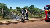 Fogo em entulhos se espalha para vegetação e causa transtornos às margens da PRc-467