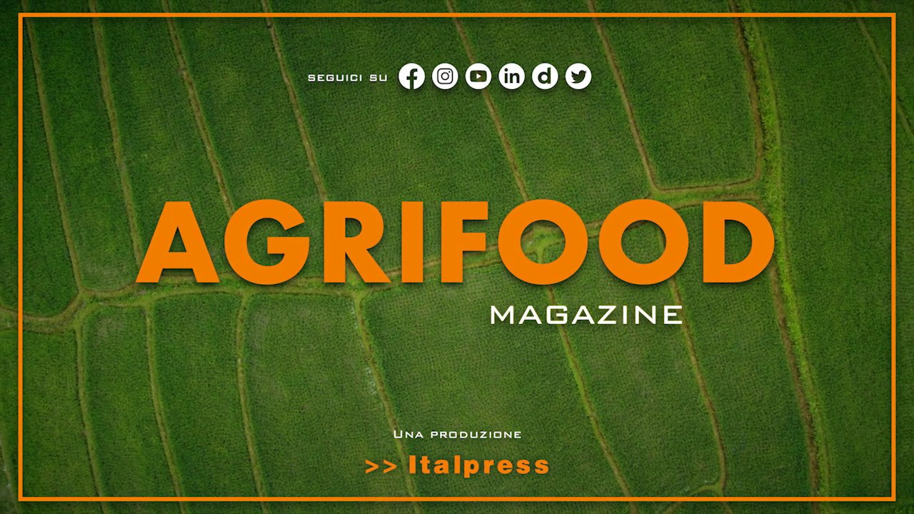 Agrifood Magazine - 16/11/2022