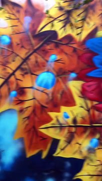 ¿Qué lugares visitar en Colombia? I La República te lleva