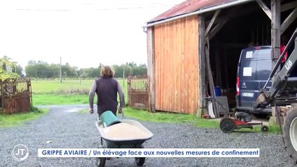 GRIPPE AVIAIRE / Un élevage face aux nouvelles mesures de confinement