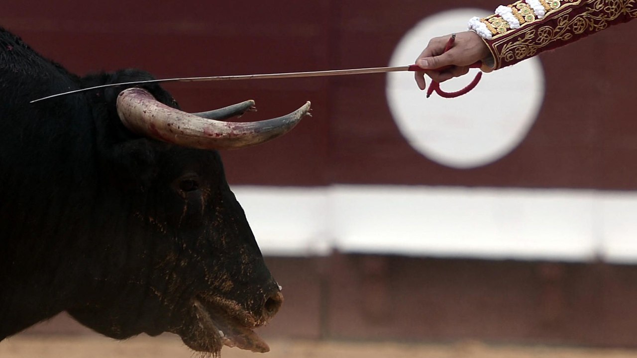Interdiction de la corrida : en commission, les députés se prononcent contre