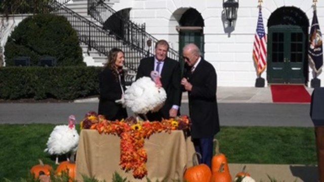 Biden indulta a dos pavos por Acción de Gracias y bromea sobre las elecciones