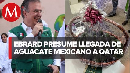 Ebrard presume llegada de aguacate a Qatar; "¿cómo vamos a ir a un Mundial sin guacamole?”