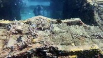 قبالة سواحل فلوريدا... مقبرة تحت المياه وموقع يعج بالحياة المائية