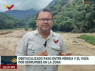 Mérida | Realizan trabajos de limpieza en las principales vías obstaculizadas de la entidad