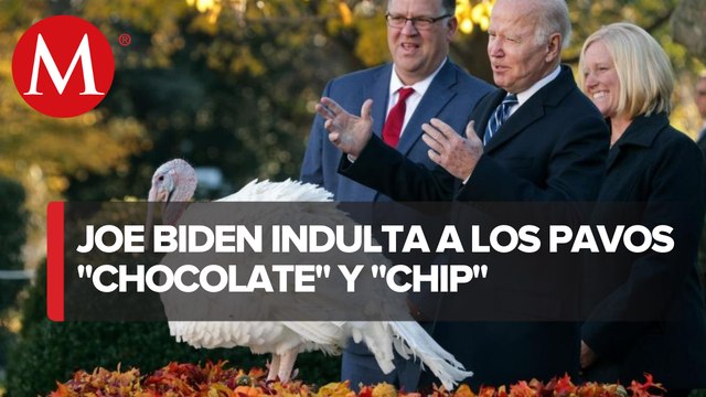 ¡Por la tradición! Biden indulta dos pavos por festejos del Thanksgiving en la Casa Blanca