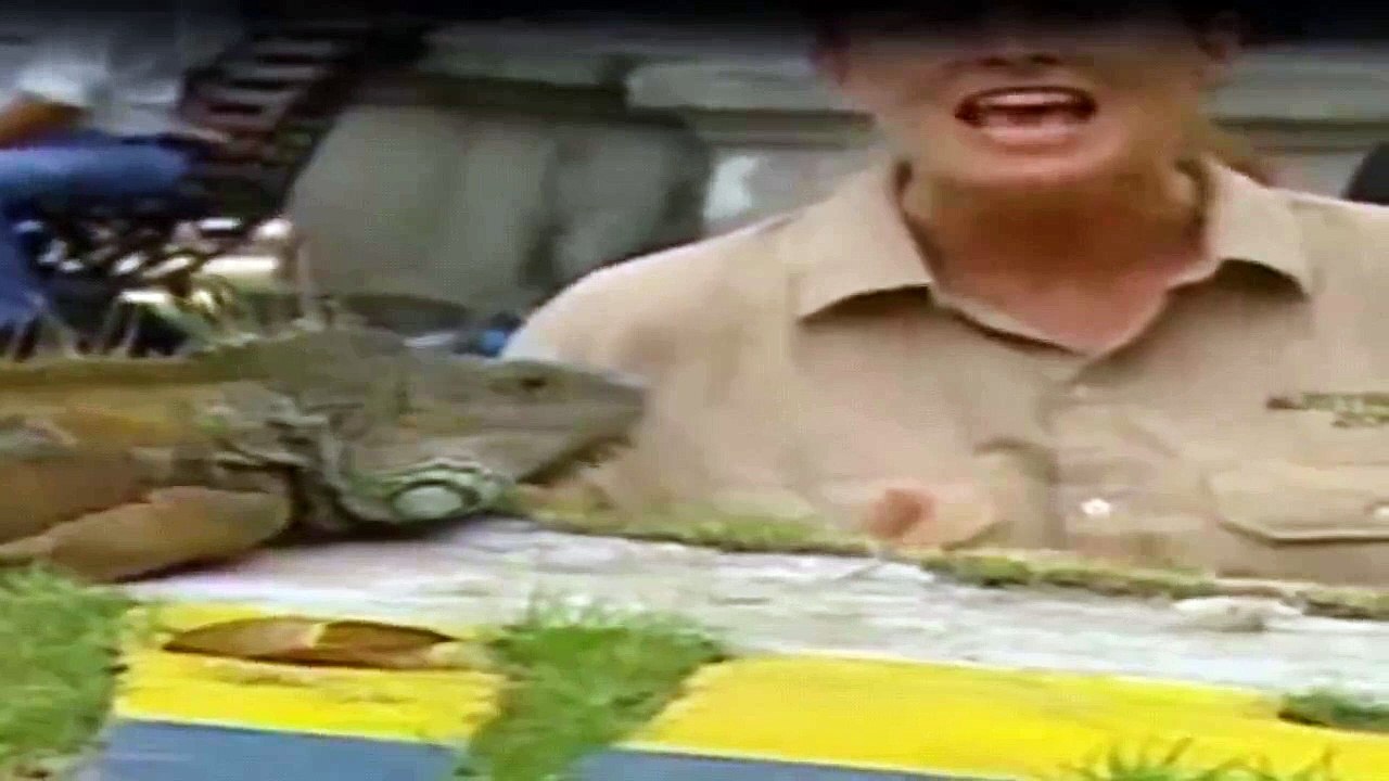 Crocodile Hunter Staffel 1 Folge 2 HD Deutsch