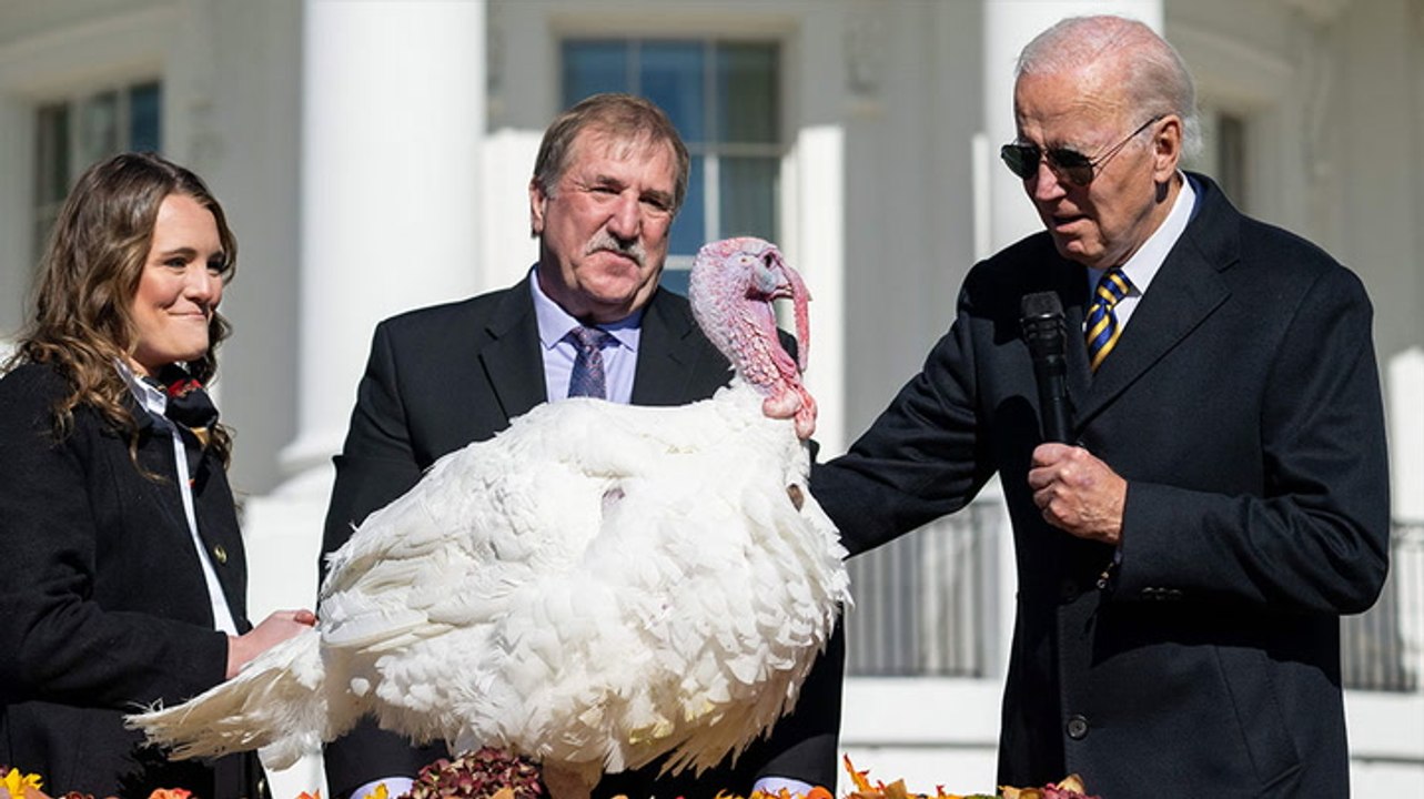 Joe Biden pardons Chocolate the Thanksgiving turkey