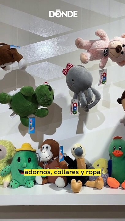 El Museo de las Relaciones Rotas llega a CDMX ¡...