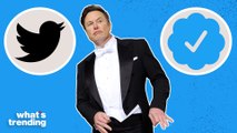 How Elon's Twitter Blue Verification Backfired