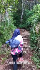 Money Magnet 528hz Sound of  Bird Mountain