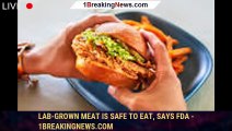 Lab-grown meat is safe to eat, says FDA - 1breakingnews.com