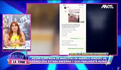 Magaly Medina fue estafada al comprar una mascota