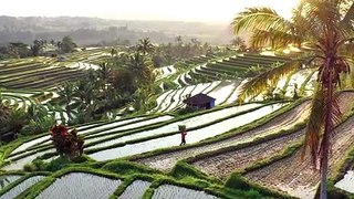 Bali, Paradise of Asia