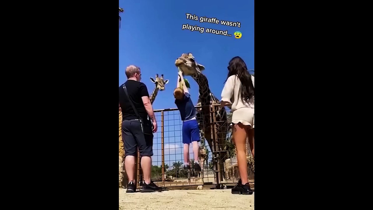 Funny Animal Videos 2022   # 9