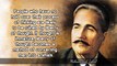 20 Inspirational Allama Muhammad Iqbal Quotes