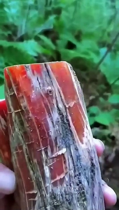 Use the precious wood to make a string of beads. #Shorts