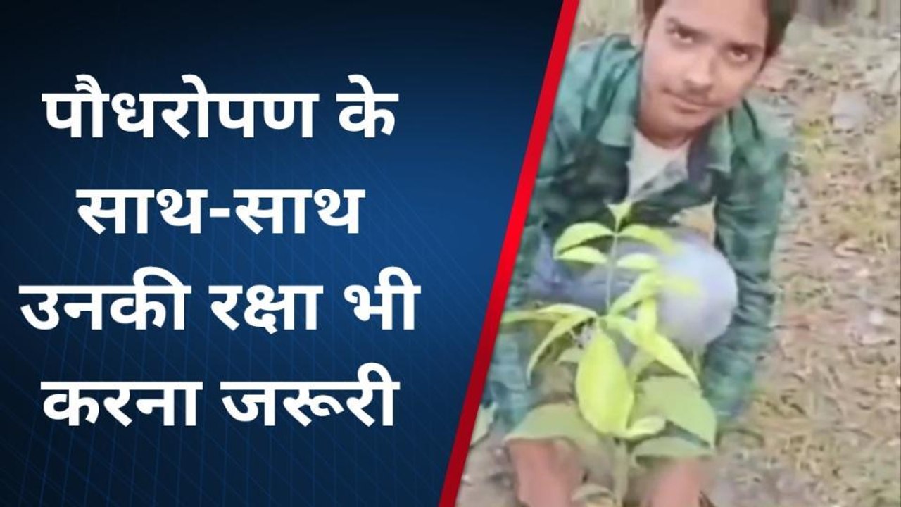 सुपौल: शुद्ध पर्यावरण के लिए पौधे लगाना जरूरी- दीपिका