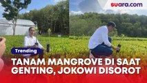 Rudal 'Nyasar' di Polandia, Jurnalis Asing Soroti Jokowi yang Asik Tanam Mangrove di G20