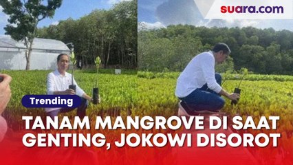 Rudal 'Nyasar' di Polandia, Jurnalis Asing Soroti Jokowi yang Asik Tanam Mangrove di G20