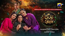 Zindagi Aik Paheli Episode 17 - [Eng Sub] - Haroon Shahid - Nimra Khan - 16th Nov 2022 - HAR PAL GEO