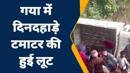 टमाटर की लूट: तेज रफ्तार पिकअप पलटते ही ग्रामीणों ने लूट ली पुरी गाड़ी, देखते रह गए किसान