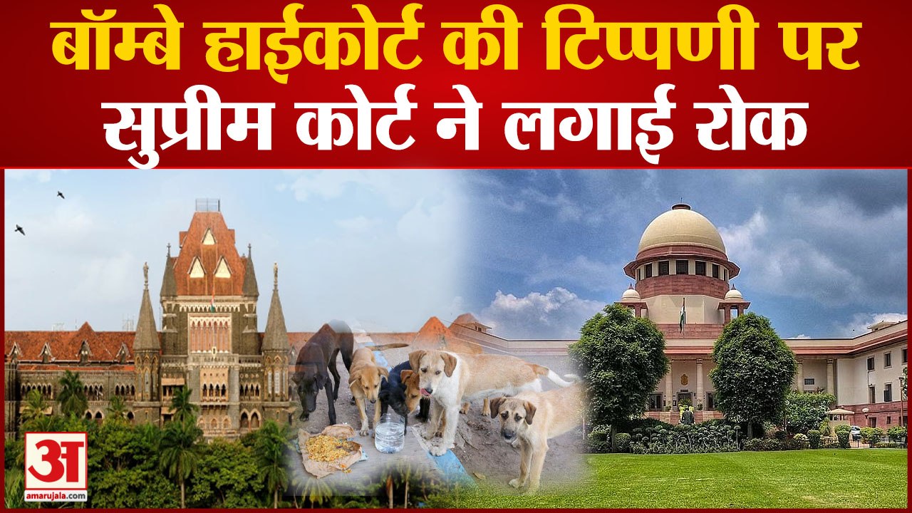 Supreme Court: बॉम्बे हाईकोर्ट की टिप्पणी पर सुप्रीम कोर्ट ने लगाई रोक | Stray Dogs