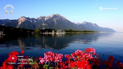1 Hour of Nature Relaxing Music to Help You Get Relaxed
