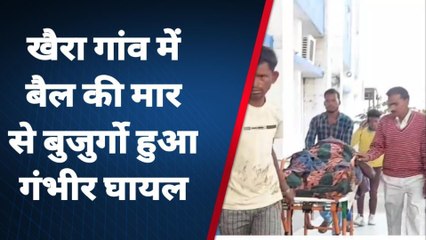 बैतूल:मवेशियों को पानी पिलाने गए बुजुर्ग को बैल ने किया गंभीर घायल,तुरंत किया अस्पताल में भर्ती