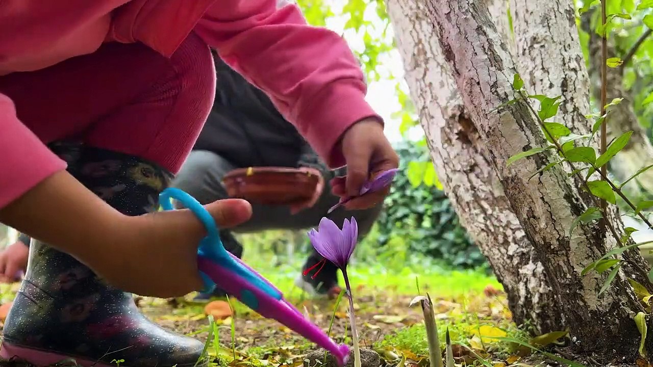 King Shrimp in Batter with Homemade Beer || World Food Ellist