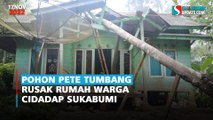 Pohon Pete Tumbang Rusak Rumah Warga Cidadap Sukabumi
