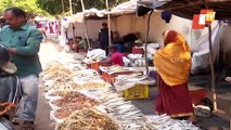Dry fish bazaar at Cuttack Bali Yatra a big attraction